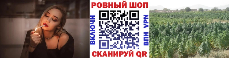Наркошоп Ессентукская Конопля  Alpha PVP  Гашиш  mega зеркало  Меф 