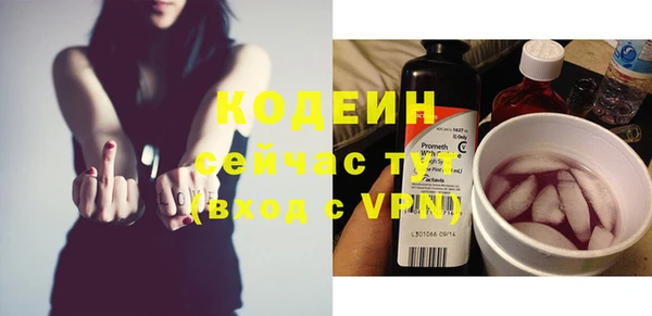 индика Белоозёрский