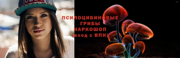 индика Белоозёрский