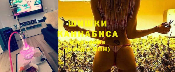 apvp Белокуриха