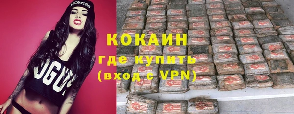 индика Белоозёрский