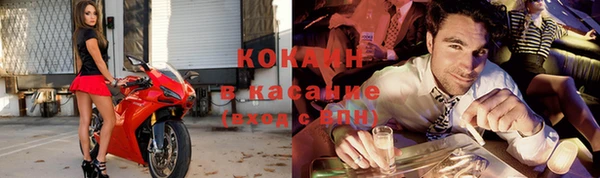 индика Белоозёрский