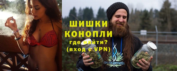 apvp Белокуриха