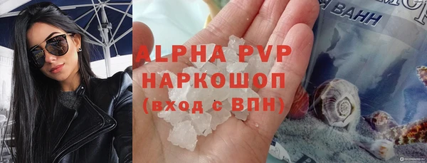 индика Белоозёрский