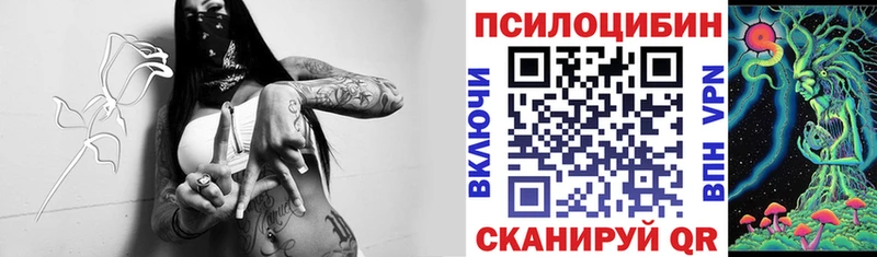 Галлюциногенные грибы MAGIC MUSHROOMS  где найти   ОМГ ОМГ ссылка  Ессентукская 
